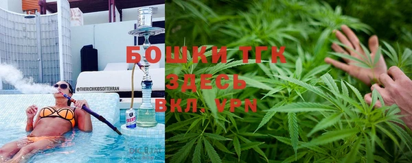 ПСИЛОЦИБИНОВЫЕ ГРИБЫ Баксан