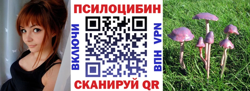 купить наркоту  мега вход  Галлюциногенные грибы Psilocybine cubensis  Козловка 